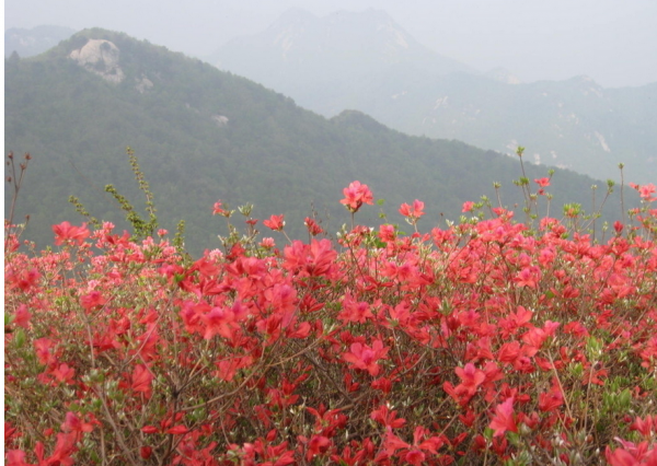 QQ截图20140401145021.png