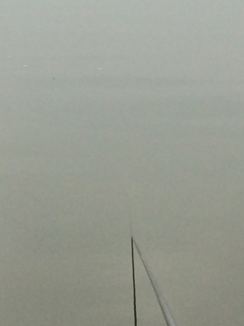 4.16 六安老淠河 拉近焦距看浮标，亲，看得见吗？.jpg