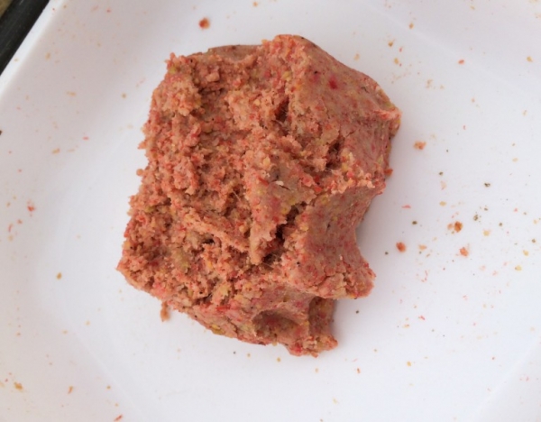 4.16 六安老淠河 朋友的饵料！.jpg