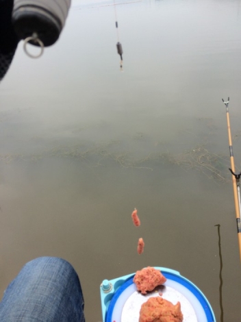 4.16 六安老淠河 水深可以搓一下哦！.jpg