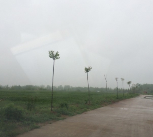 4.17 战金桥：10.乡土气息，景色迷人.jpg