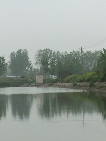 4.17 战金桥：14.广阔水域 大有作为！.jpg