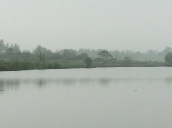 4.17 战金桥：13.宽阔水域 钓友众多啊！.jpg