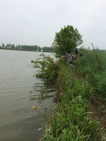 4.17 战金桥：18.当地钓友接踵而至！.jpg