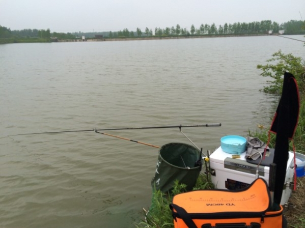 4.17 战金桥：20.我也调整位置，改钓浅水！浅滩！.jpg