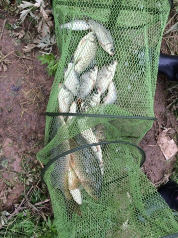 4.17 战金桥：21.瞧瞧这渔获！！.jpg