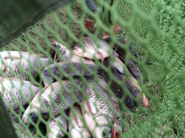 4.17 战金桥：24.真的好漂亮！.jpg