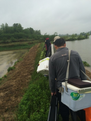 4.19 再战金桥：6.战友们 弃舍大坝 穿雨靴 过泥泞 赴上游浅滩！.jpg