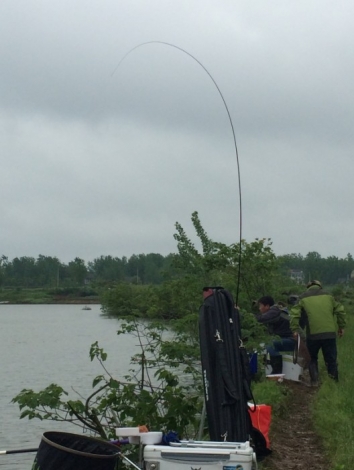 4.19 再战金桥：14.他就是本场野战的幸运之星：草鱼获奖者！！.jpg