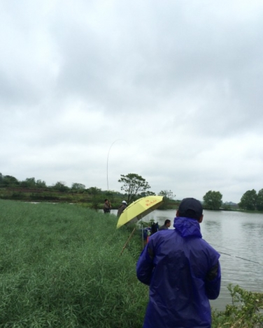 4.19 再战金桥：13.赵勇同志 力拔山河（大鲤），结果上来发现，钩刺尾巴上了！.jpg