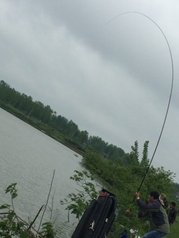 4.19 再战金桥：15.拔鱼中——伤肾中！！！.jpg