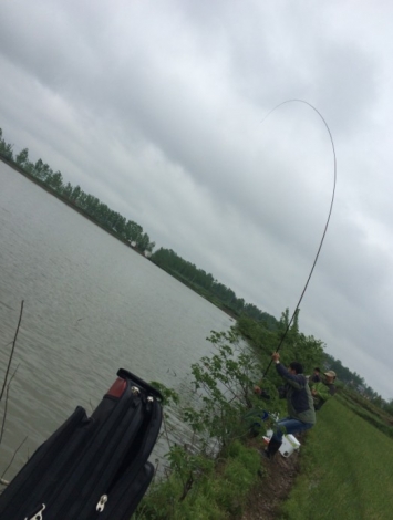 4.19 再战金桥：16.拔鱼中——伤腰中！！.jpg