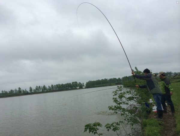 4.19 再战金桥：17.出水了——准备抄起！.jpg