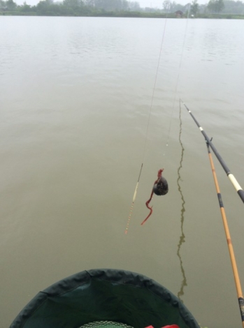 4.19 再战金桥：20.我的杰作：蚯蚓 钓 螺丝！.jpg