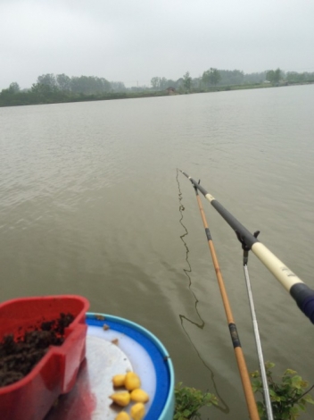 4.19 再战金桥：23.钓友们！6.3挂蚯蚓 顶风抛竿，你干了吗？.jpg