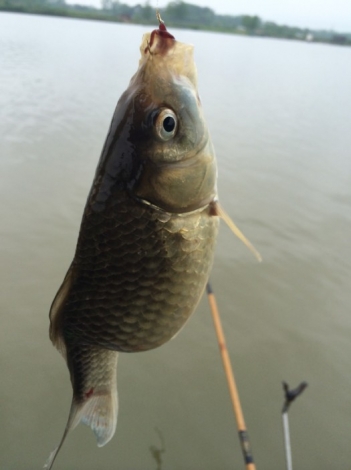 4.19 再战金桥：22.亲，你肿么了？？.jpg