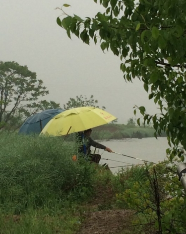 4.19 再战金桥：24.天公不美 细雨变粗了！撑伞啊！！.jpg