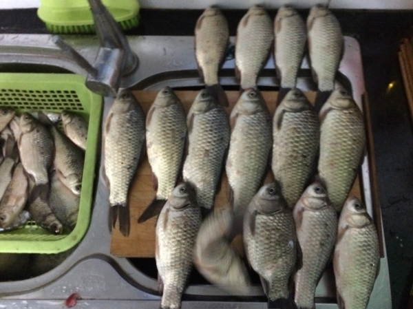 4.19 再战金桥：29.筷子对比长度！.jpg