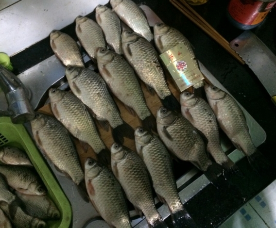 4.19 再战金桥：31.烟盒对比长度2.jpg