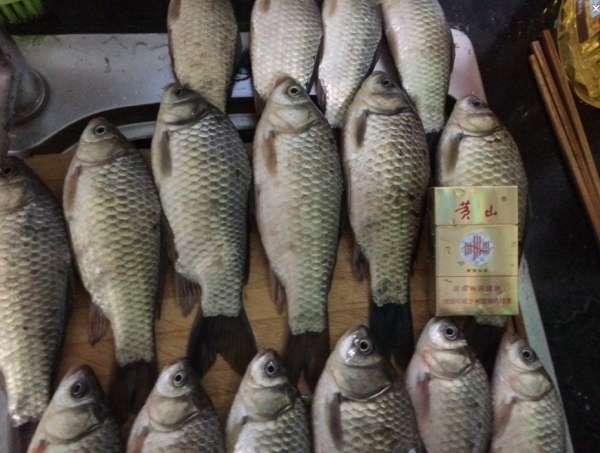 4.19 再战金桥：30.烟盒对比长度！.jpg