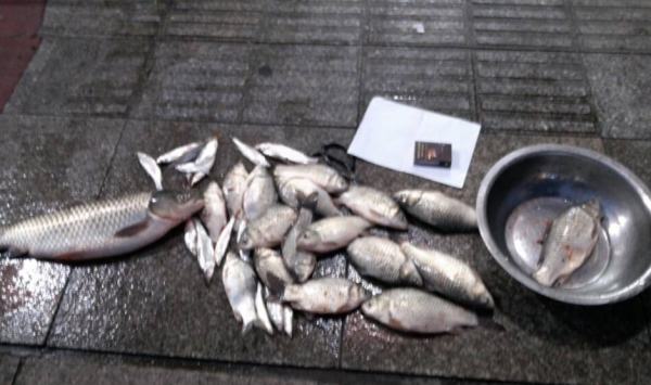 【幸福塘】31.小乐渔获-刚刚的 哦！！.jpg