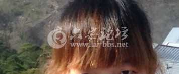 艺术人生做的刘海