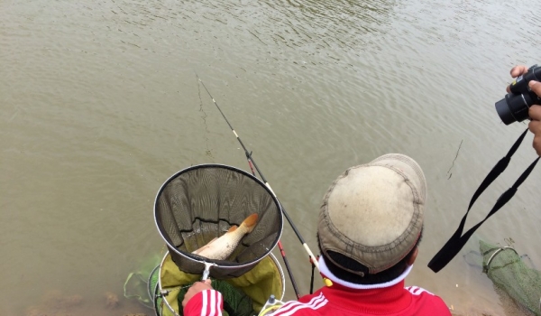 27.原来是 大鲤鱼！！.jpg