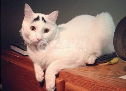 QQ截图20140513130640.png QQ截图20140513130640.png