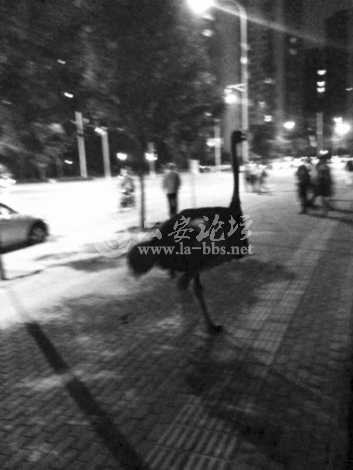 Img399575509.jpg