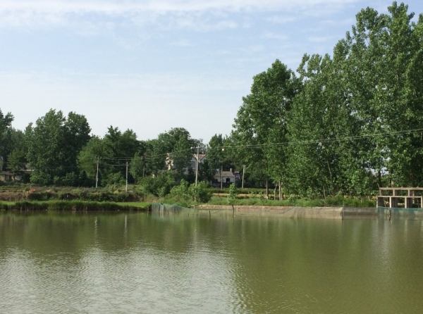 9.这是第三目标水域，第二水域未拍，由于是 养殖水域，放弃拍照了！.jpg