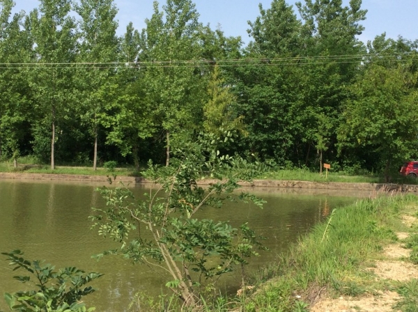 13.灌溉小水库特有的 水泥埂坝！.jpg