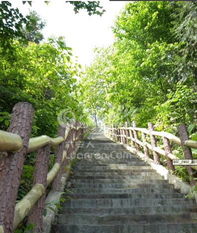 QQ截图20140518091931.png