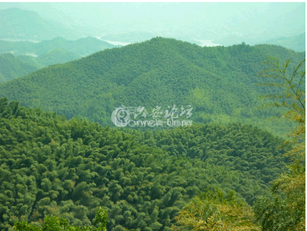 QQ截图20140518092018.png
