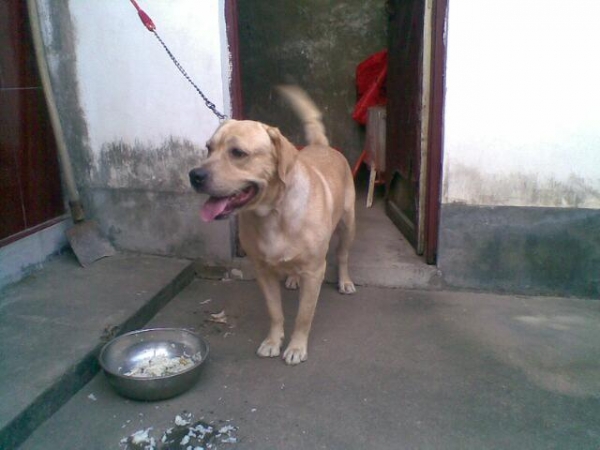 20130821.jpg