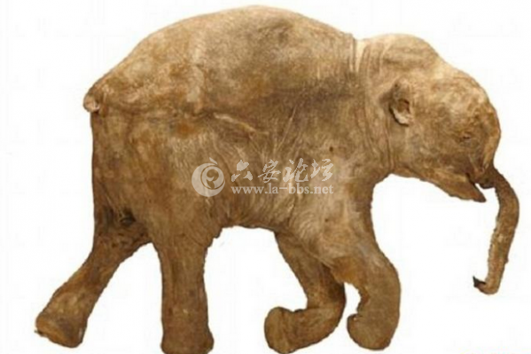 QQ截图20140521171422.png