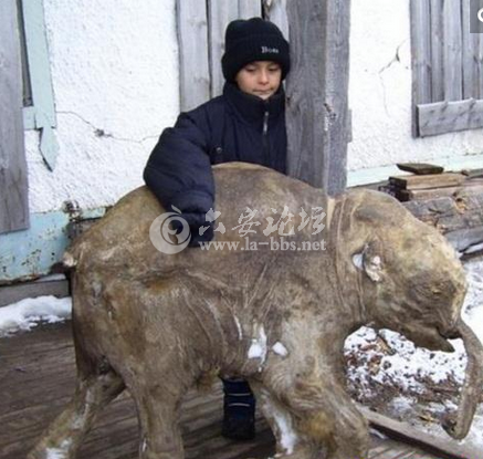 QQ截图20140521171658.png
