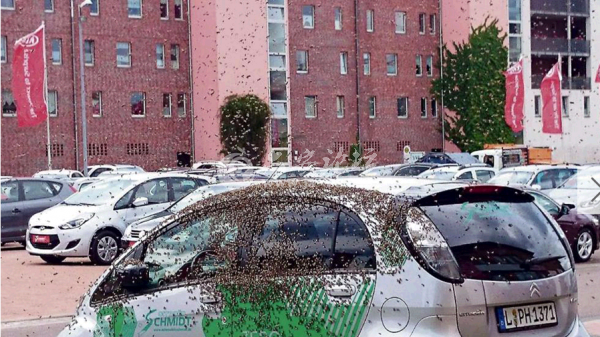 QQ截图20140523153120.png