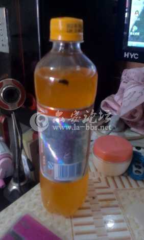 IMAG0057.jpg