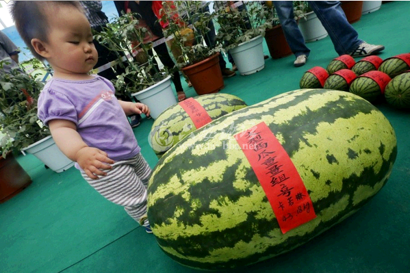 QQ截图20140526155947.png