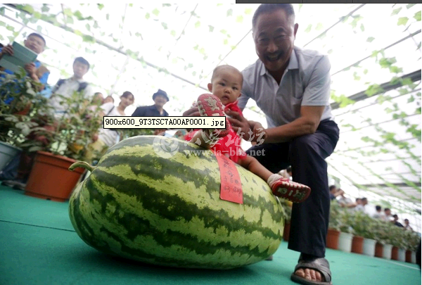 QQ截图20140526160011.png