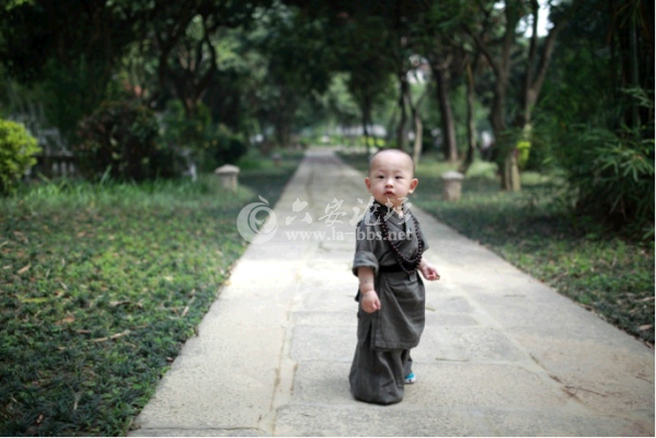QQ截图20140527095232.png