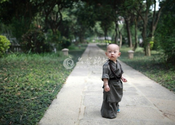 QQ截图20140527101109.png