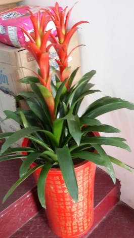 QQ图片20140528115519.jpg