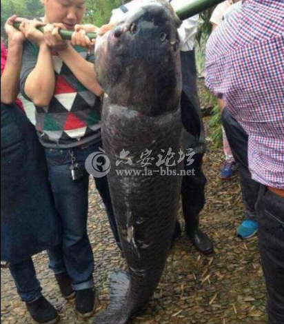 QQ截图20140528163451.png