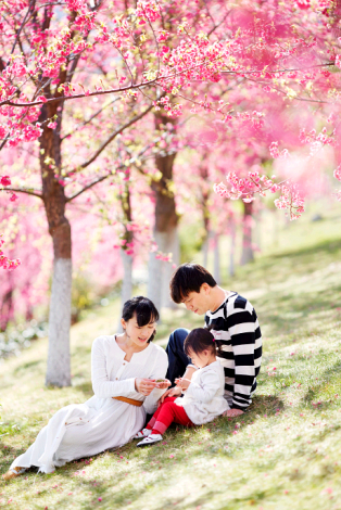 QQ截图20140531104947.png