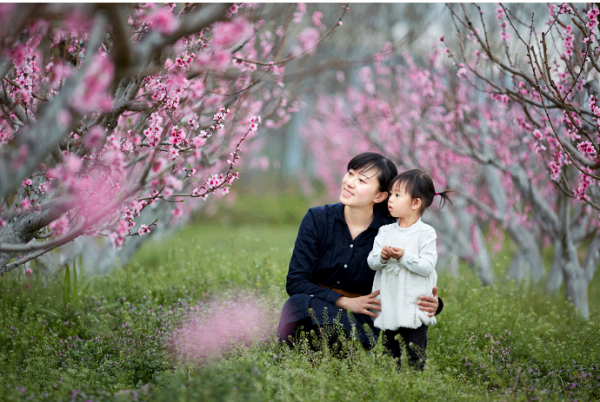 QQ截图20140531105053.png