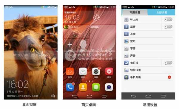 1399960351965jieping01.jpg