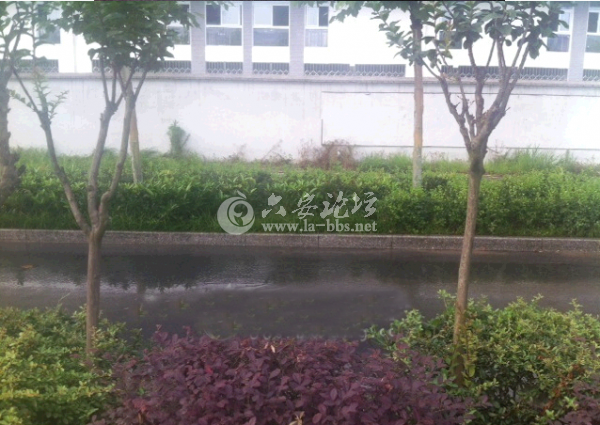 QQ截图20140610085202.png
