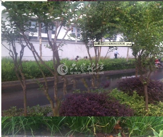 QQ截图20140610085230.png
