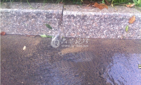 QQ截图20140610085244.png